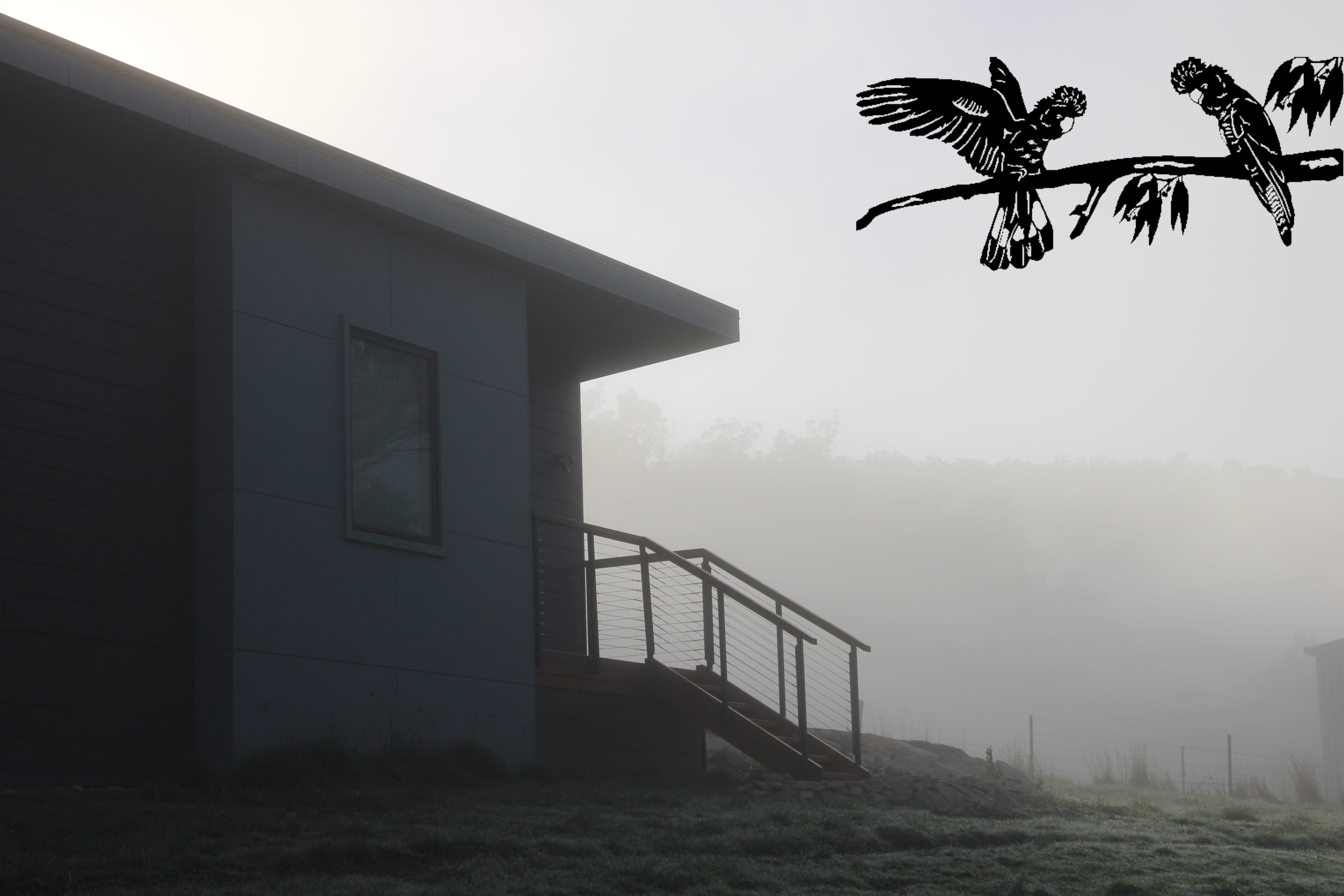 Morning mist at DashWu Steading